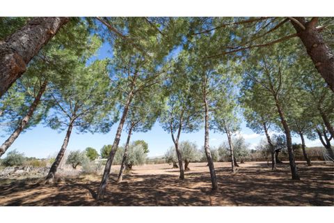 Landsbyhus i Yecla, Murcia, Yecla - € 675.000 | Ref: RP1476 - foto 20